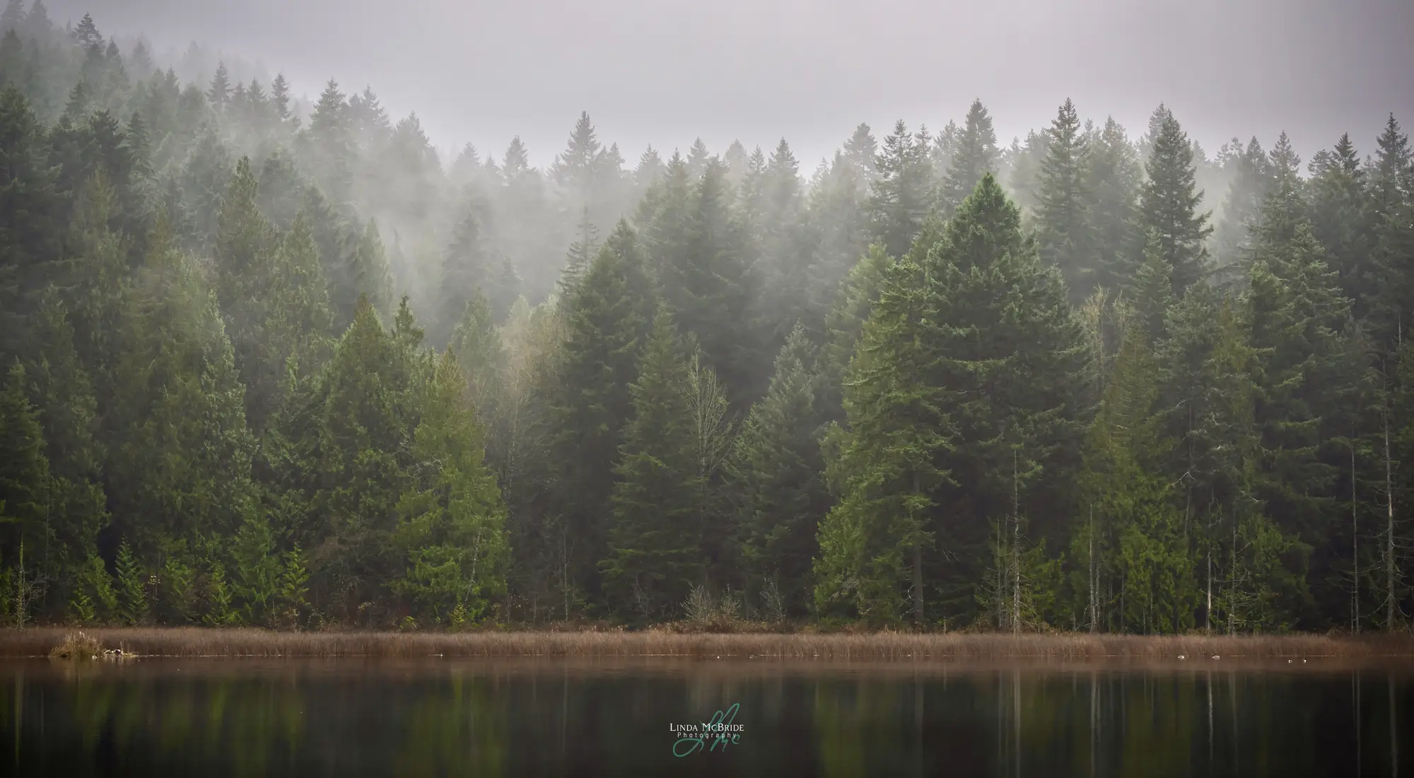 Fog and Light, Chemainus