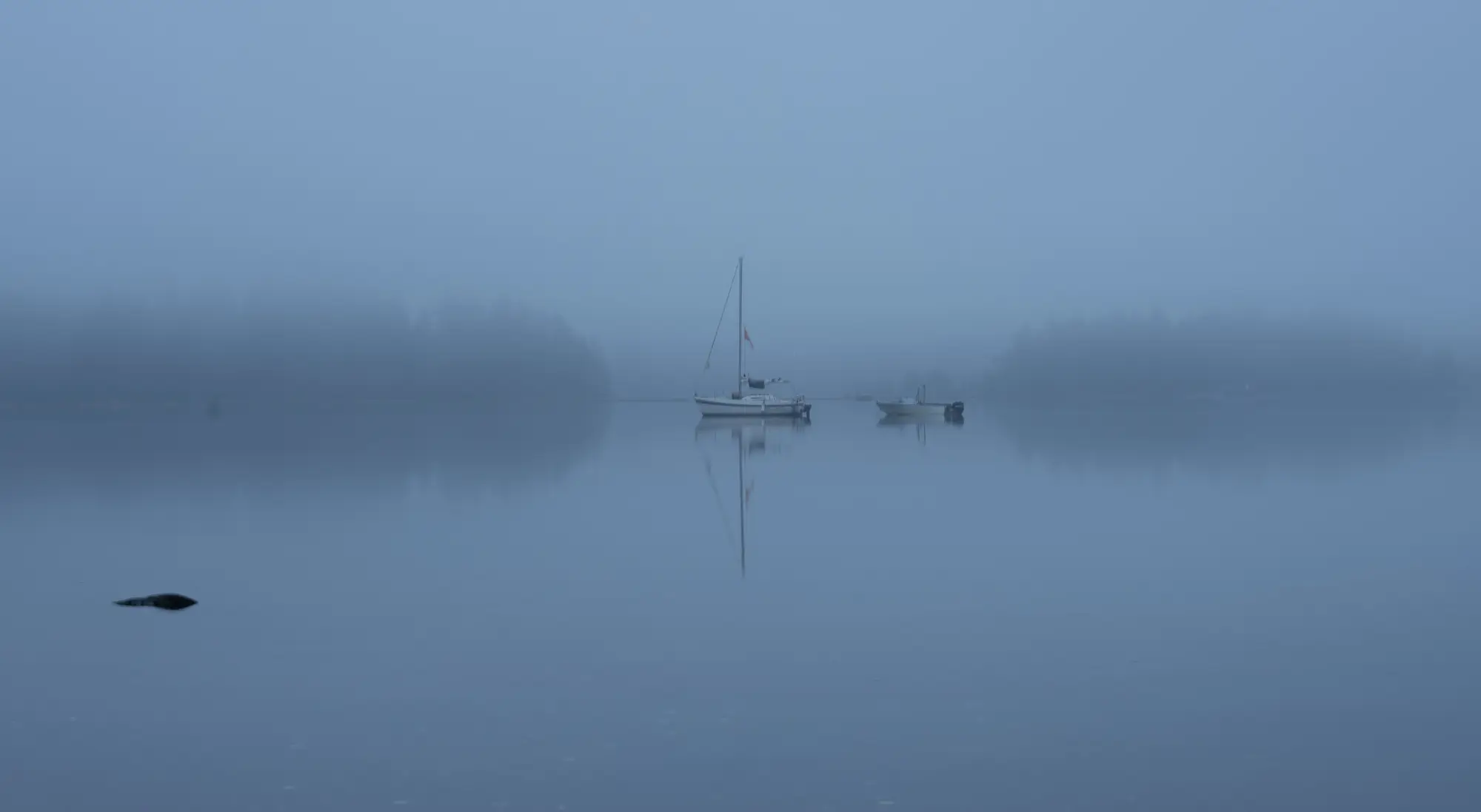 Foggy Morning, Ladysmith