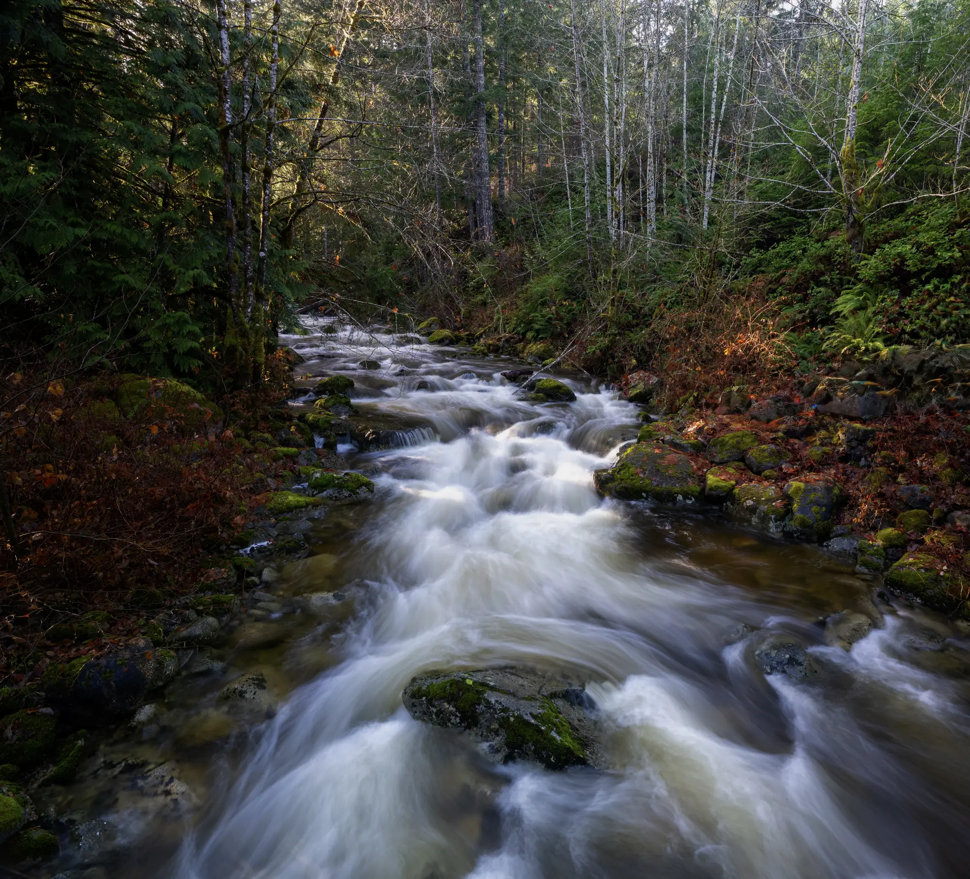 Holland Creek, Ladysmith