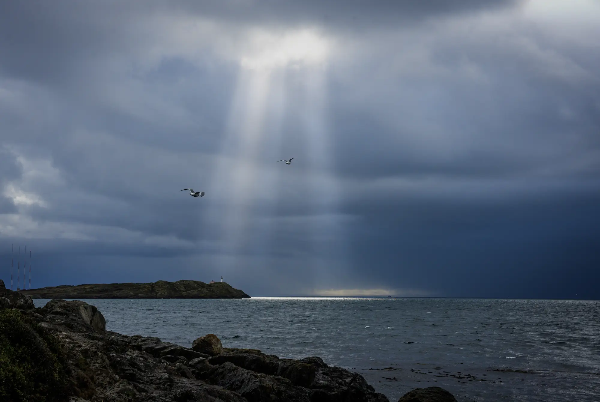 Light through the Storm, Victoria_result