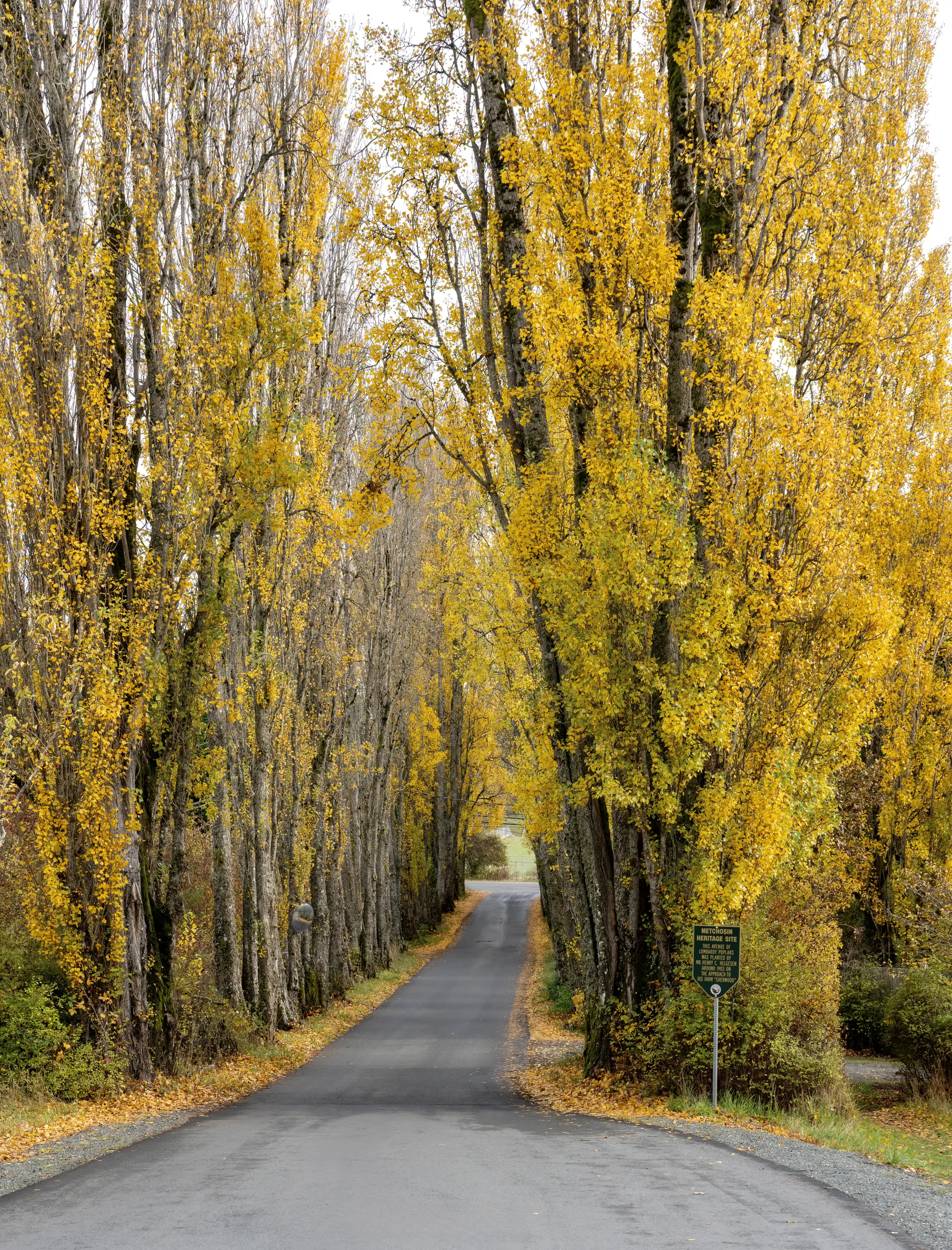 Poplar Drive, Metchosin